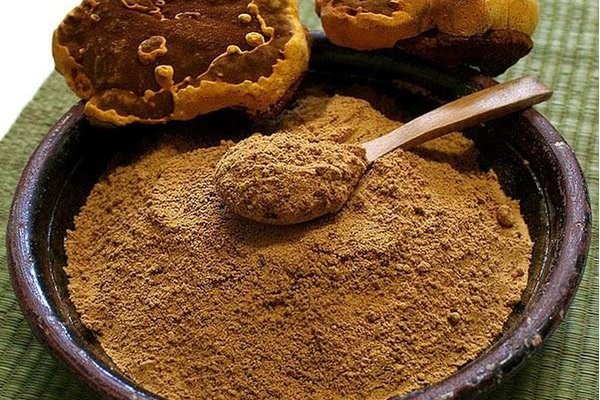 Hướng Dẫn Bảo Quản Nấm Linh Chi An Tâm Hiệu Quả ?