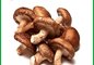 Nấm hương tươi hàn quốc túi 500g