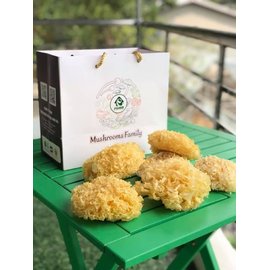 Nấm tuyết 100g