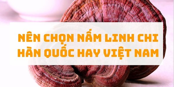 Nên chọn Nấm linh chi Hàn Quốc hay Việt Nam | Huệ Nguyễn Food